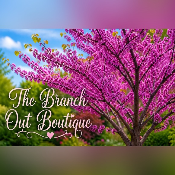 thebranchoutbtq